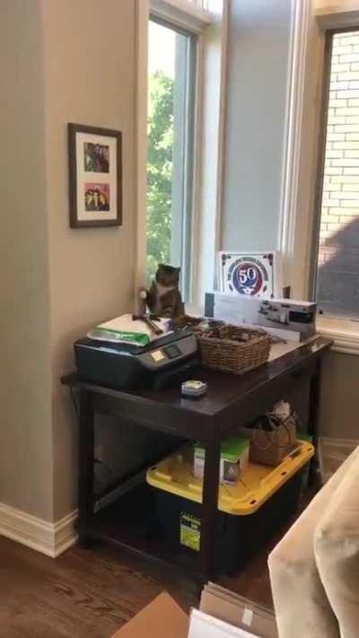 Rage against the machine