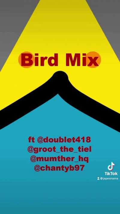 Bird Mix Of TikTok Legends