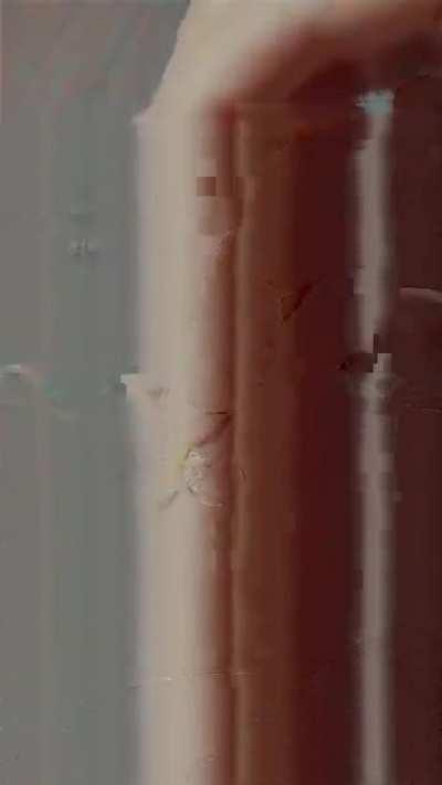 A true craftsman showing they're on a whole different level of precision and patience