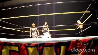 AJ Lee getting spanked throught her career