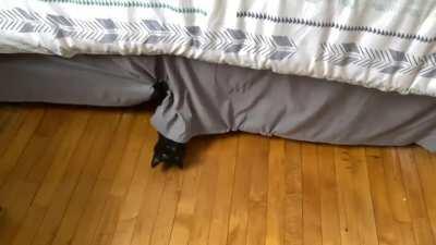 She's Mad at Me For Sleeping at My GF's Last Night; Trying To Get Her to Love Me Again.