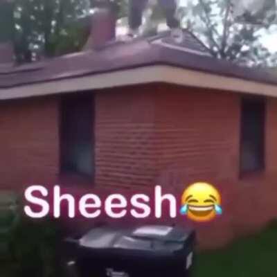 HMB as I surprise attack a trash can