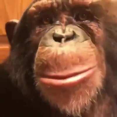 chunky monkey for the rule