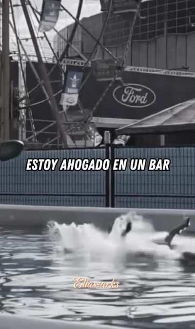 🤣🤣🤣🤣🤣🤣