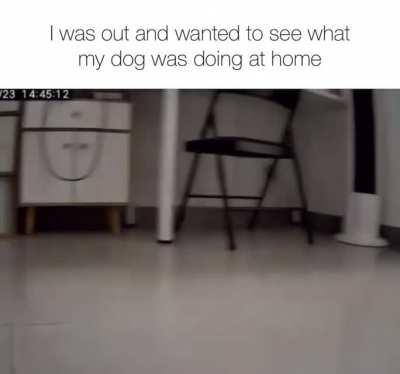 “I’m bored. Can’t you tell?”