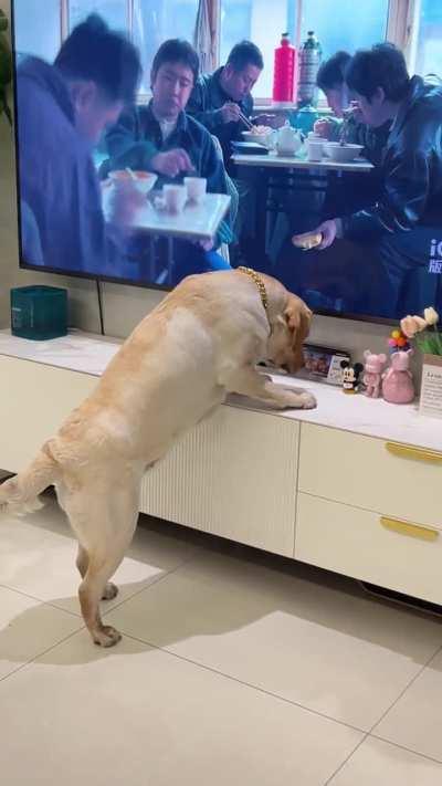 Bamboozled by the TV