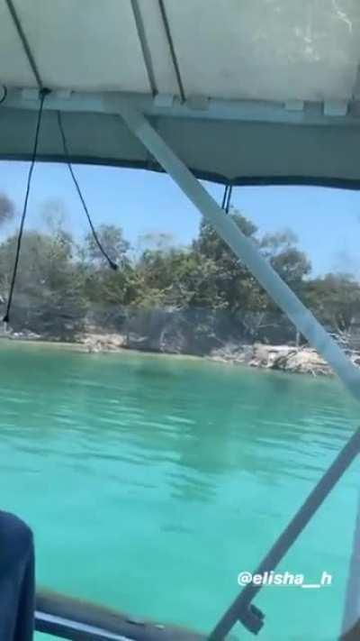 Booty without borders