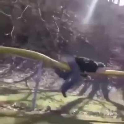 HMFT after I jump from a to high building