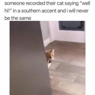 I can't stop watching this..