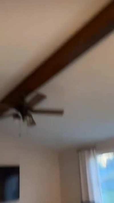 Starts screaming in lowercase