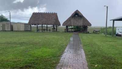 My backyard in South Florida