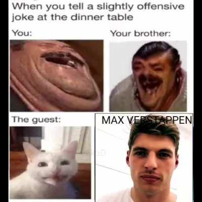 Max verstapen