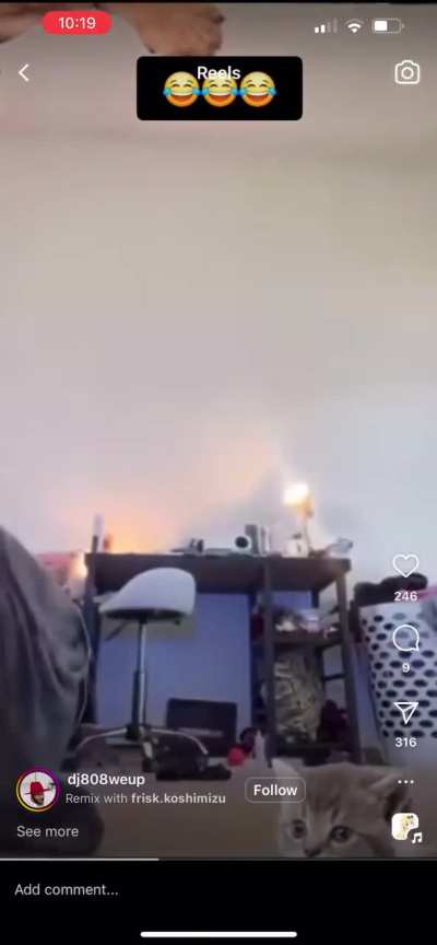 Dog put the paws on that man