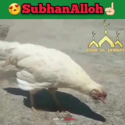 Subhanallah 😍🇵🇰