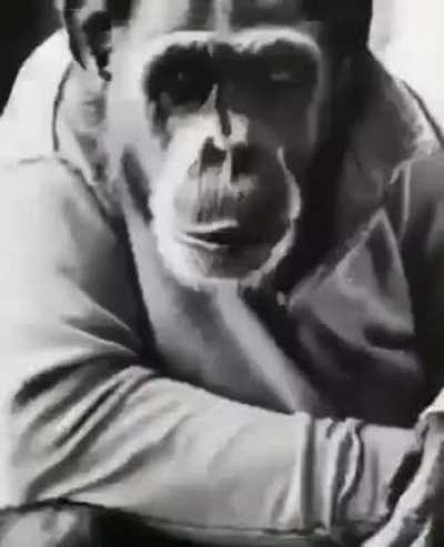 I am not sorry for anything i did in the discord server