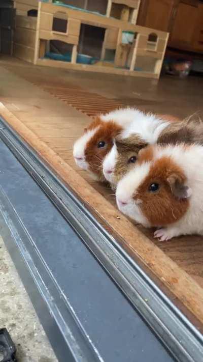 Blame it on the rain.