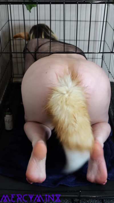 Wagging my tail when you get home from work as I will be rewarded!