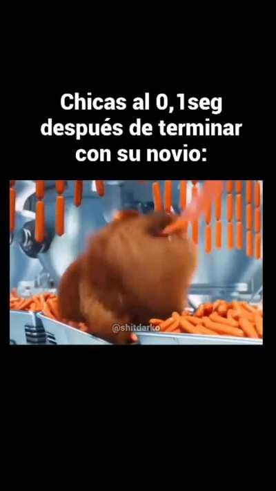 Corrijo el meme: mujeres cuando el novio se despista un segundo.