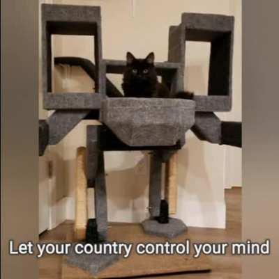 C.A.T.S (Cat Army Tank Squad)