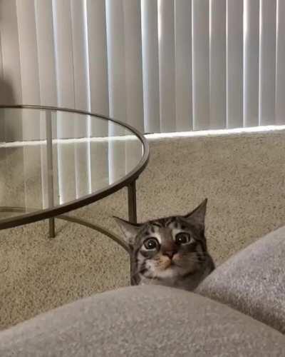 quarantine has been hitting everyone hard...