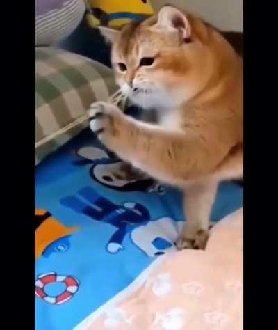 Nothing else meotters