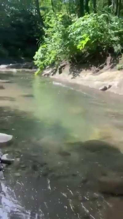 Me when my resident tells me I can go home for the day [meme]