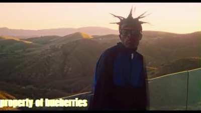 It Wasn’t the Plan mv