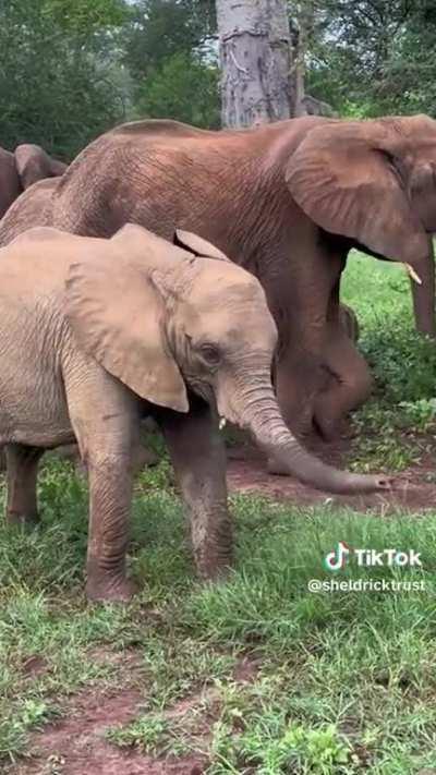 Helicopter helicopter