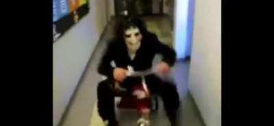 Rank 20 pigs be like: