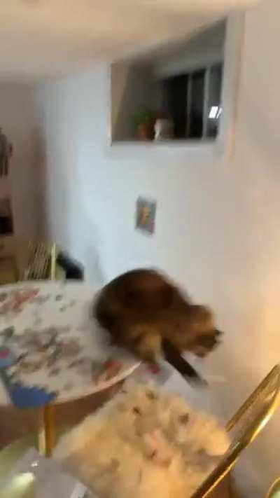 Who's at the window?