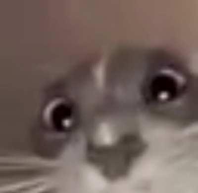 Terrible quality but great scrunge