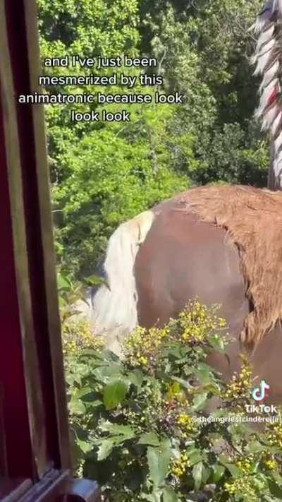 Weirdest Hidden Mickey Ever