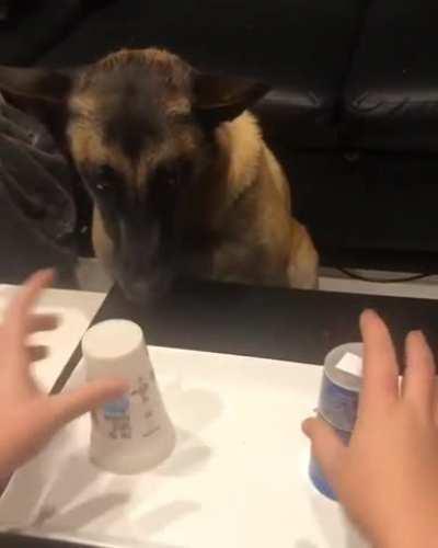 There is no trick, dogo