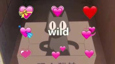 I don’t know why I made this but I did.