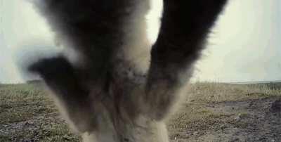 Yay mischievous foxxo kit