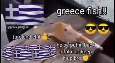 Türki fis < grεεcε fish🤭