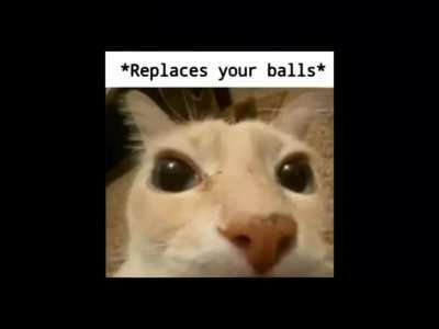 Your balls