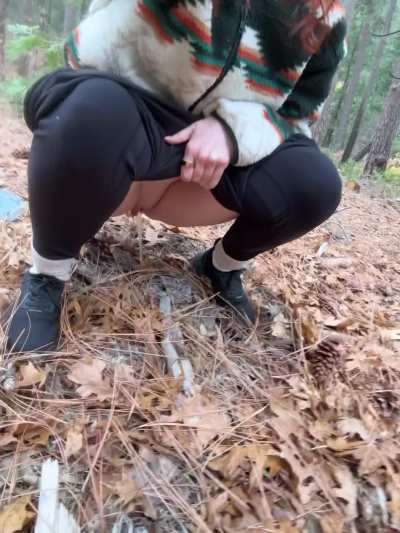 Found a quiet spot in a national park 🤫