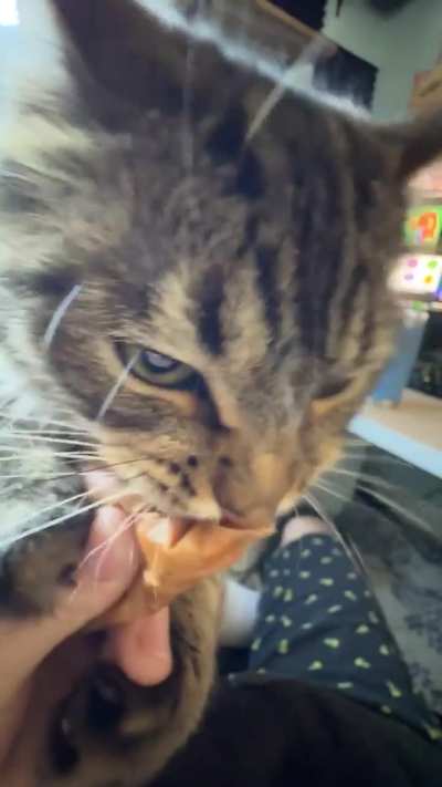 Awww she’s so cu-AAA