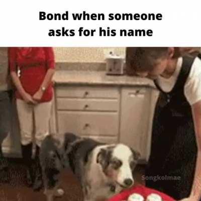 This took a while to make so I hope you enjoy it!