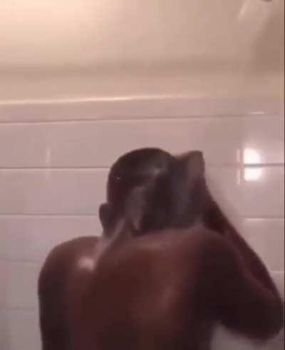 Just finished Monogatari Second Season