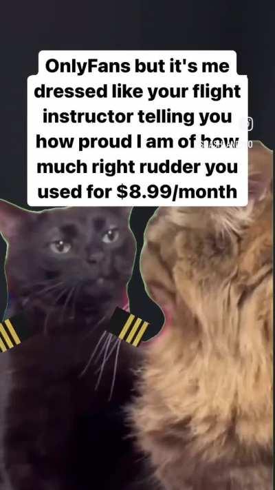 Guys is this a good investment? 