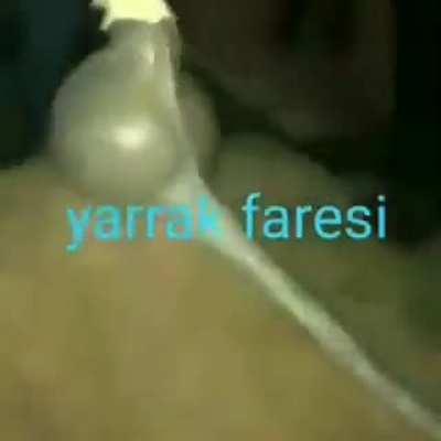 yarak faresi