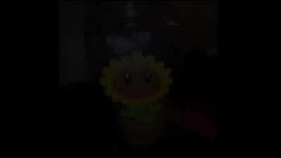 this one goes out to all my vampire sunflower mains out there