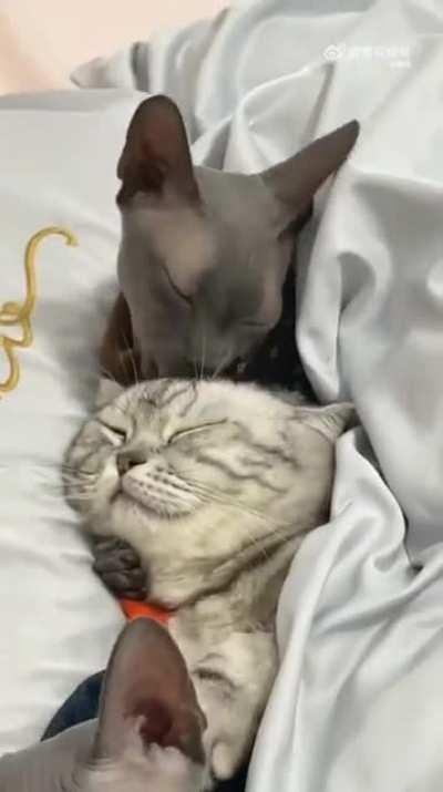 When you have what your friends can never have