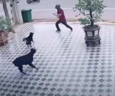 Ready? He was BORN ready