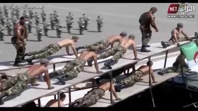 Algeria reveals the newest multi-ramp launcher, and it is OILED UP