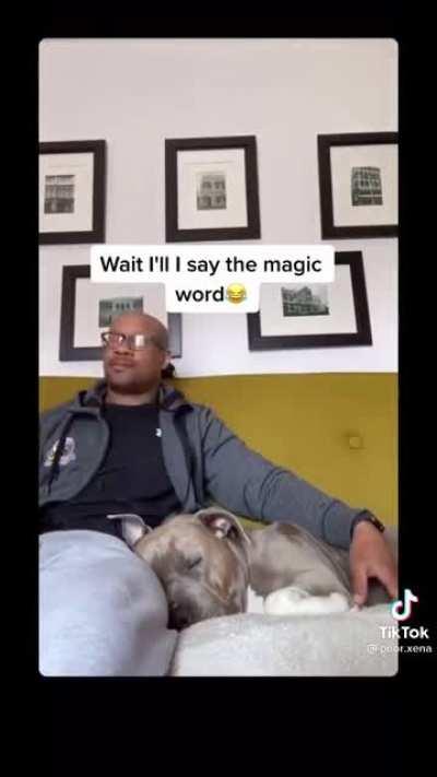 You’ll love this little story. Many of you can relate 100% 🐾