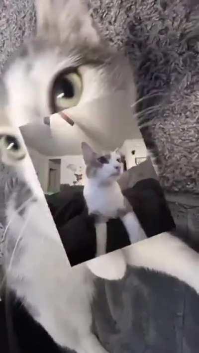 Run them pockets for me