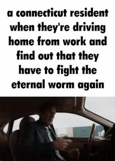 typical day in Connecticut